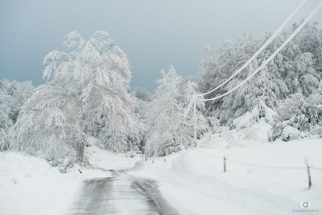 Route périlleuse